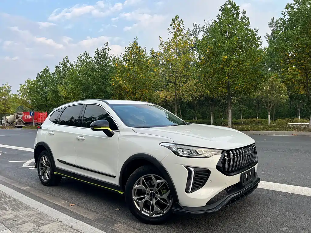 Haval Chitu Power Enjoyment 1.5 T Bronze Rabbit