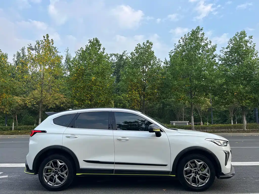 Haval Chitu Power Enjoyment 1.5 T Bronze Rabbit