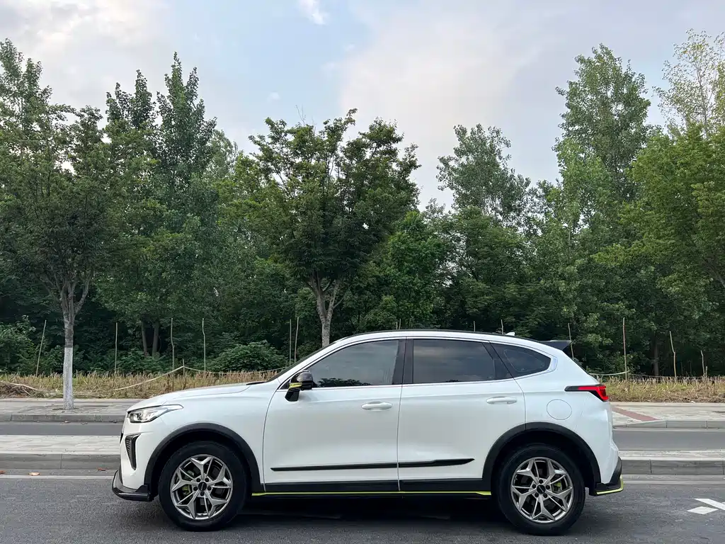 Haval Chitu Power Enjoyment 1.5 T Bronze Rabbit