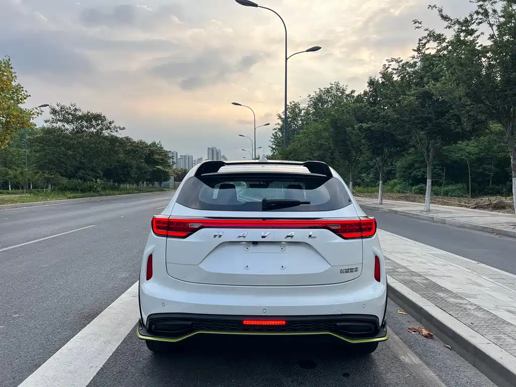 Haval Chitu Power Enjoyment 1.5 T Bronze Rabbit