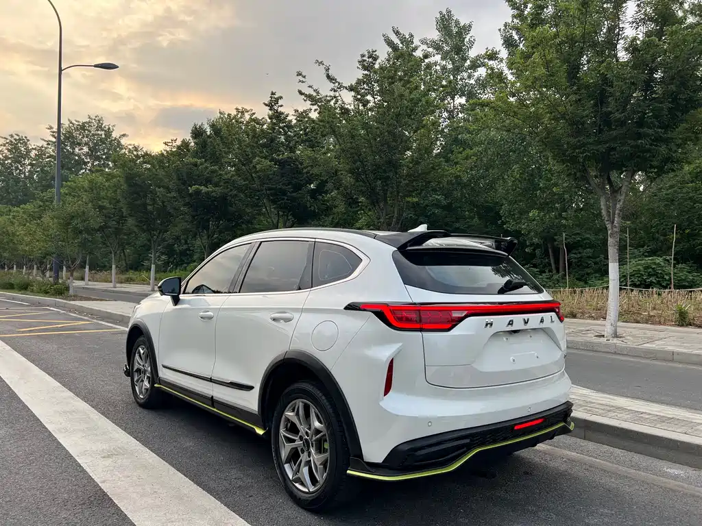 Haval Chitu Power Enjoyment 1.5 T Bronze Rabbit