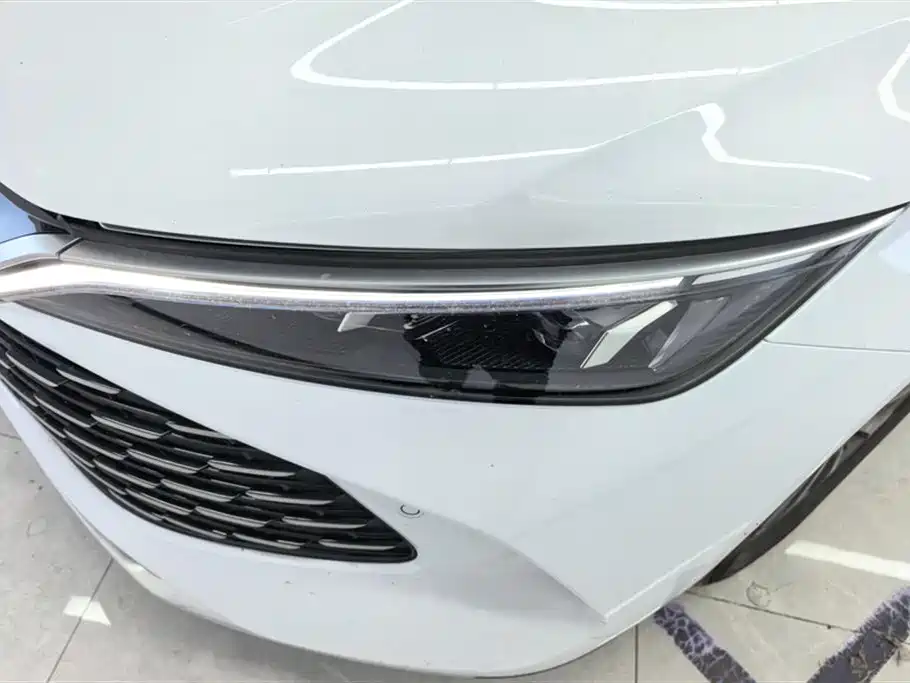 Qin L DM-i Smart Drive 80 KM Leading