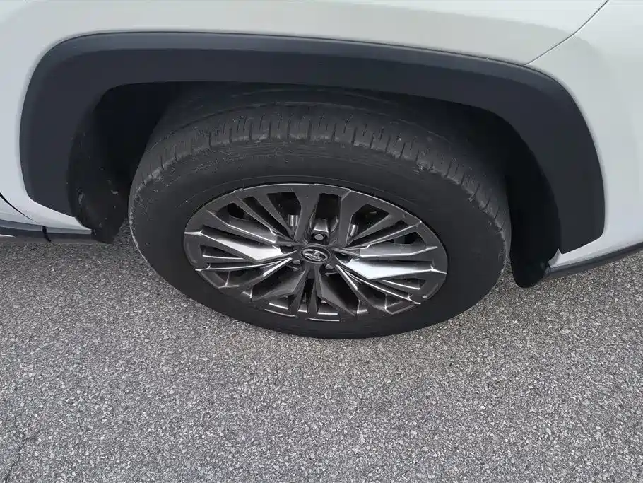 Wildlander Dual Engine 2.5 L E-CVT 4 WD Distinguished