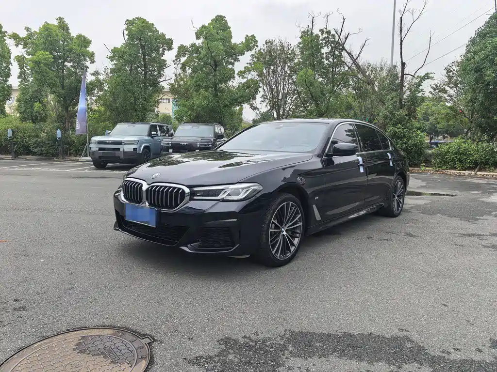 BMW 5 Series 530 Li Leading M Sport Package