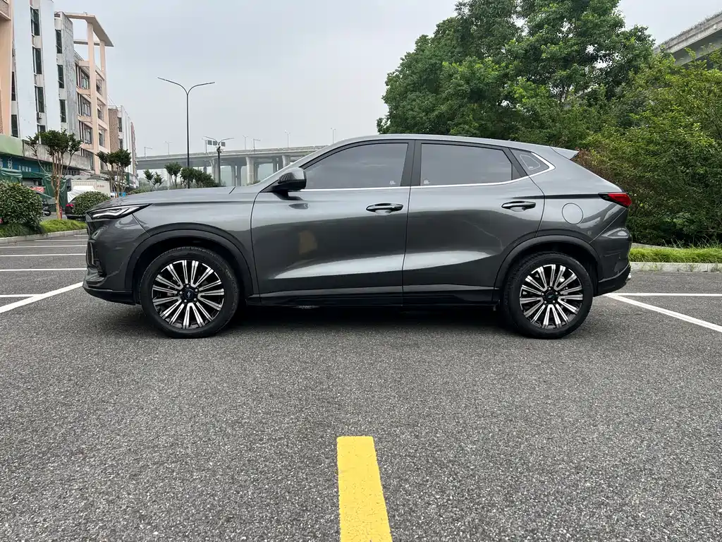 Changan Oshan X5 1.5 T DCT Distinguished