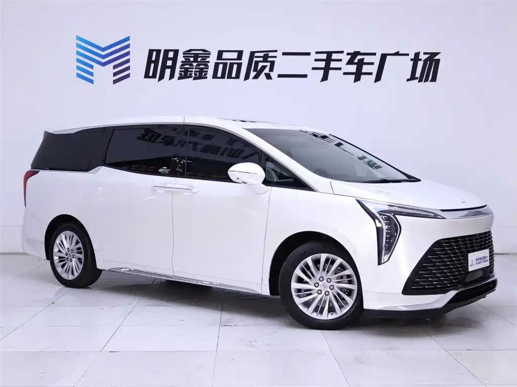 Century 2.0 T 7-seat Heritage