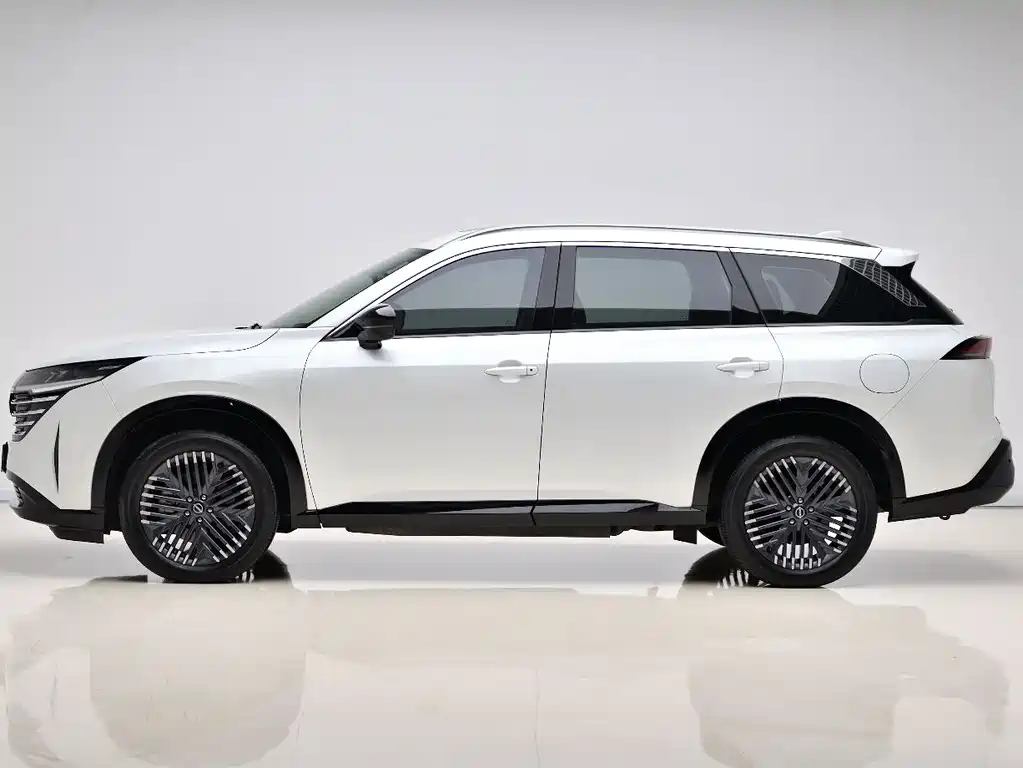 Tanlu 380 VC-TURBO 4 WD Smart Supreme 6-seat