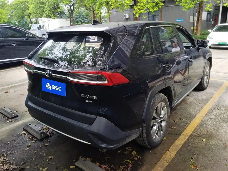 Wildlander 2.0 L CVT 4 WD Luxury