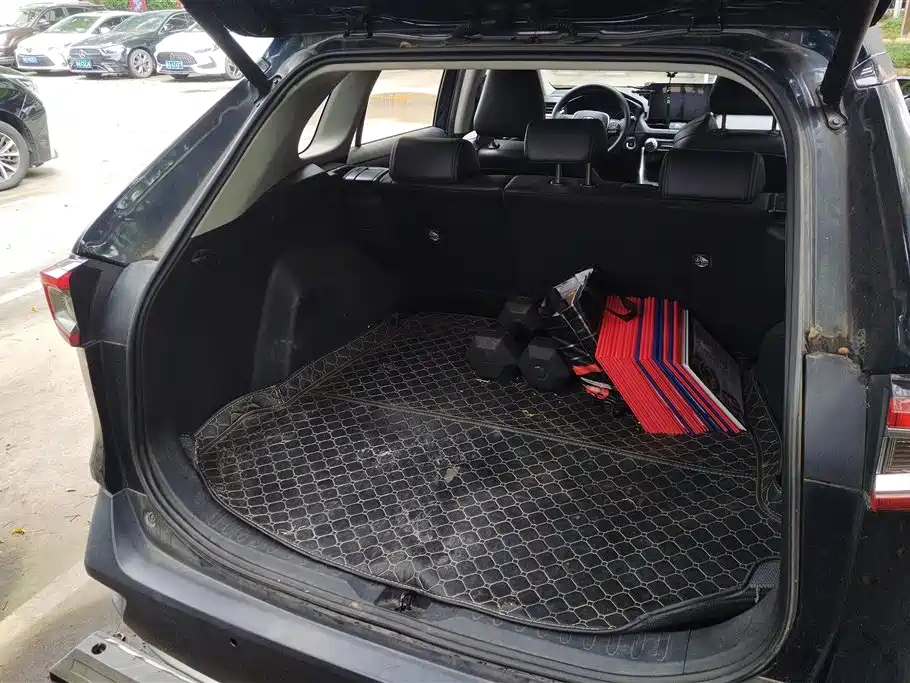 Wildlander 2.0 L CVT 4 WD Luxury