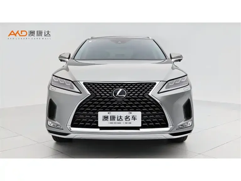Lexus RX 300 4 WD Elegant CN-VI