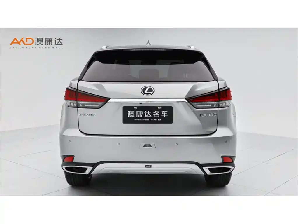Lexus RX 300 4 WD Elegant CN-VI