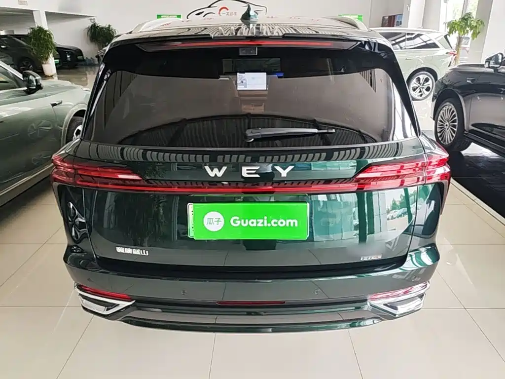 WEY Blue Mountain 4 WD Max