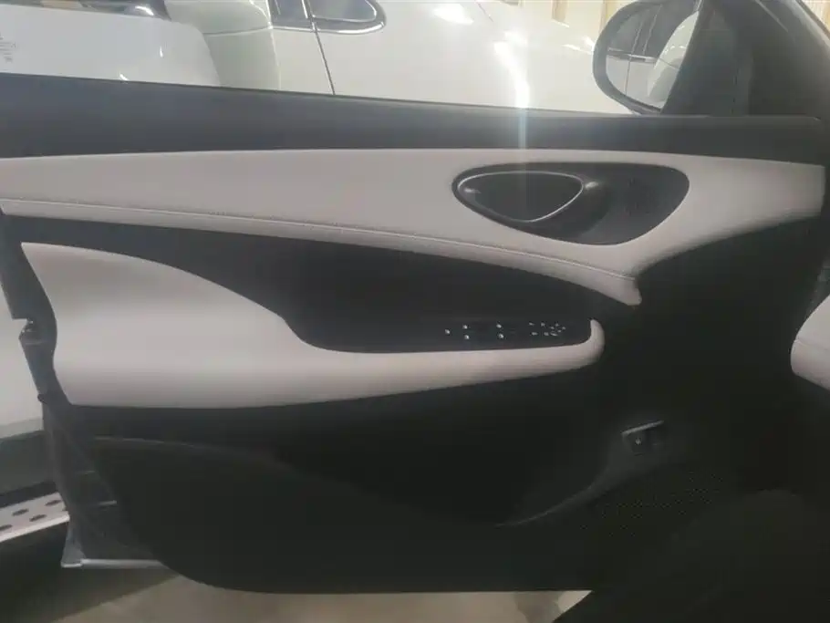 Seal 05 DM-i DM-i Smart Drive 55 KM Luxury