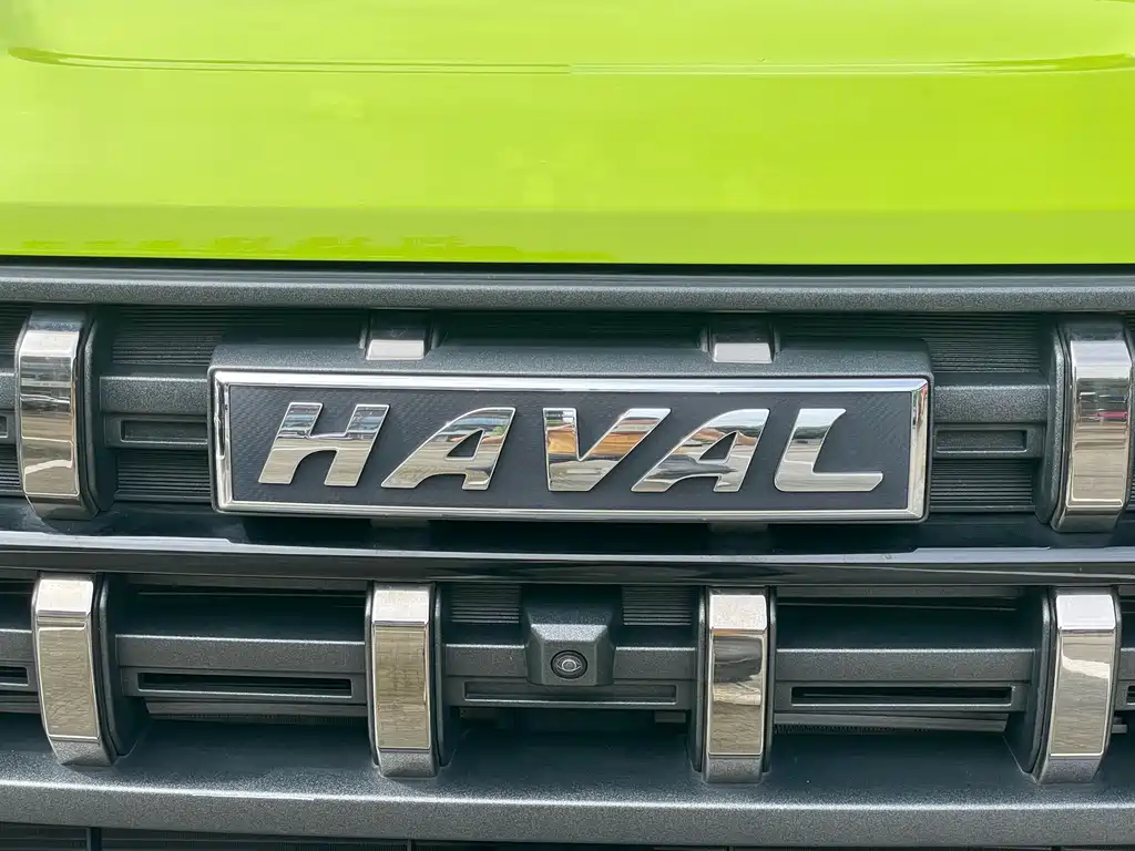 Haval Cool Dog 1.5 T DCT 4 WD Trend Wild