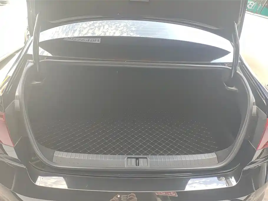 Magotan Public Enjoyment 330 TSI DSG Luxury