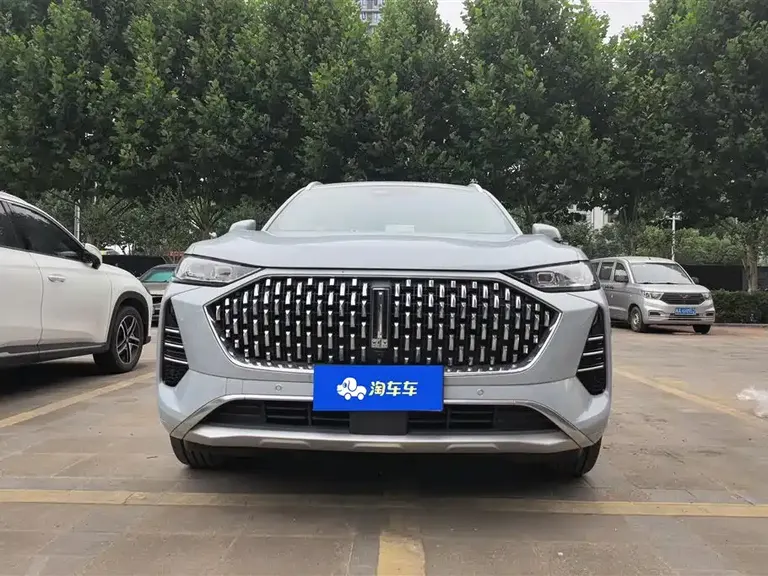 WEY Mocha 2.0 T 2 WD Pure