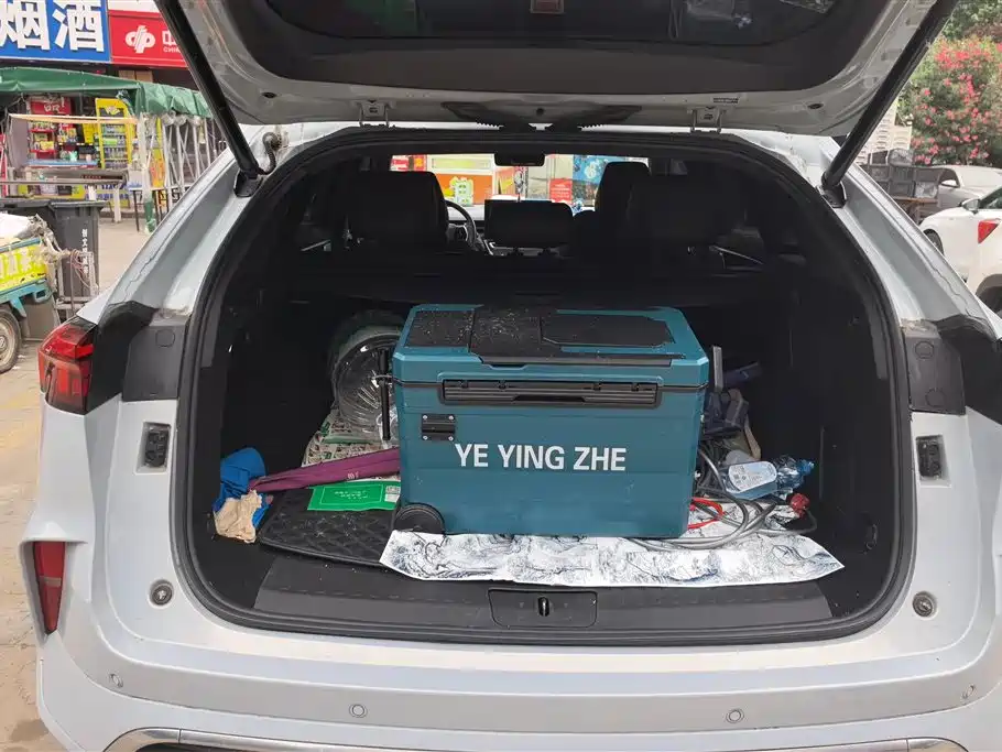 WEY Mocha 2.0 T 2 WD Pure