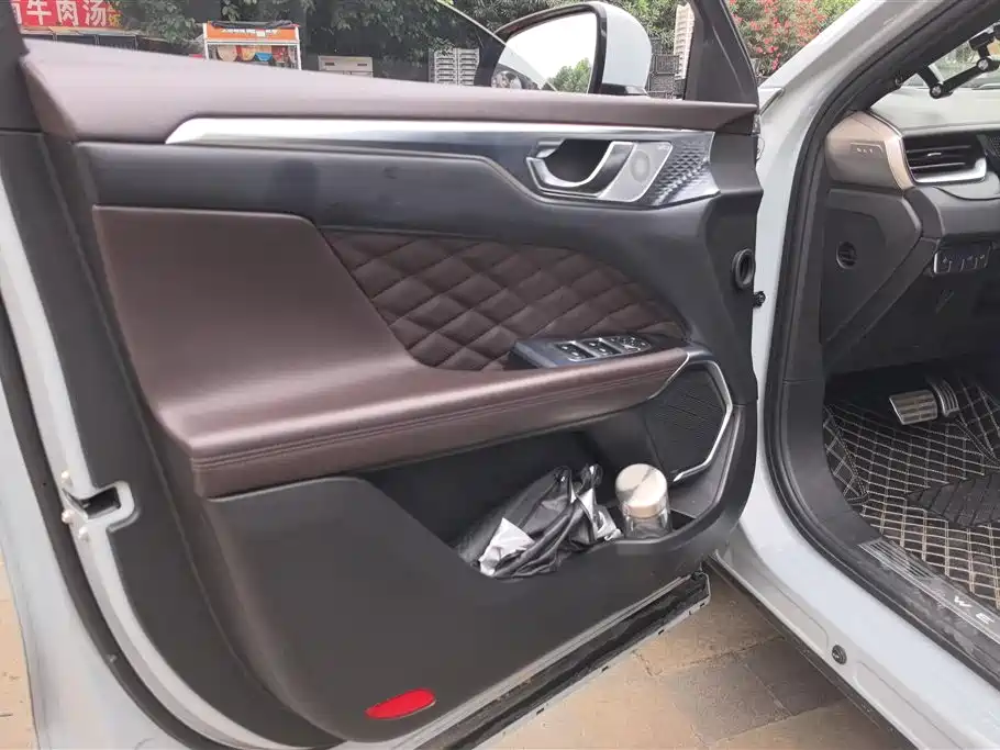 WEY Mocha 2.0 T 2 WD Pure