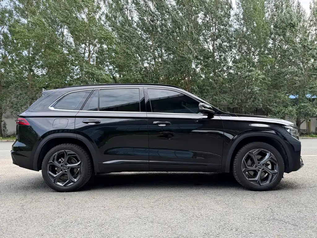 Xingyue L 2.0 TD High Power Auto 2 WD Cloud Rise