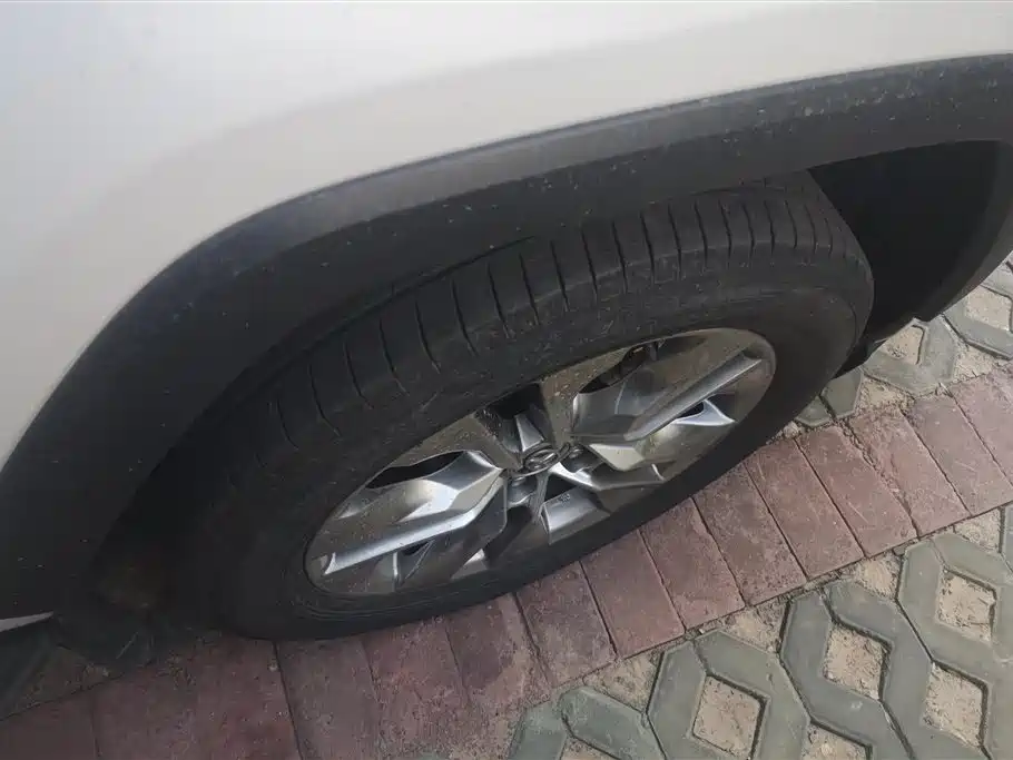 Wildlander 2.0 L CVT 2 WD Leading