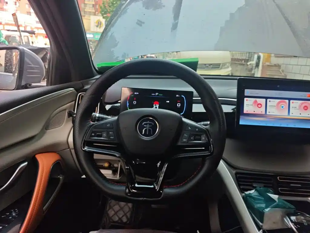 Song Pro NEV DM-i 51 km Luxury