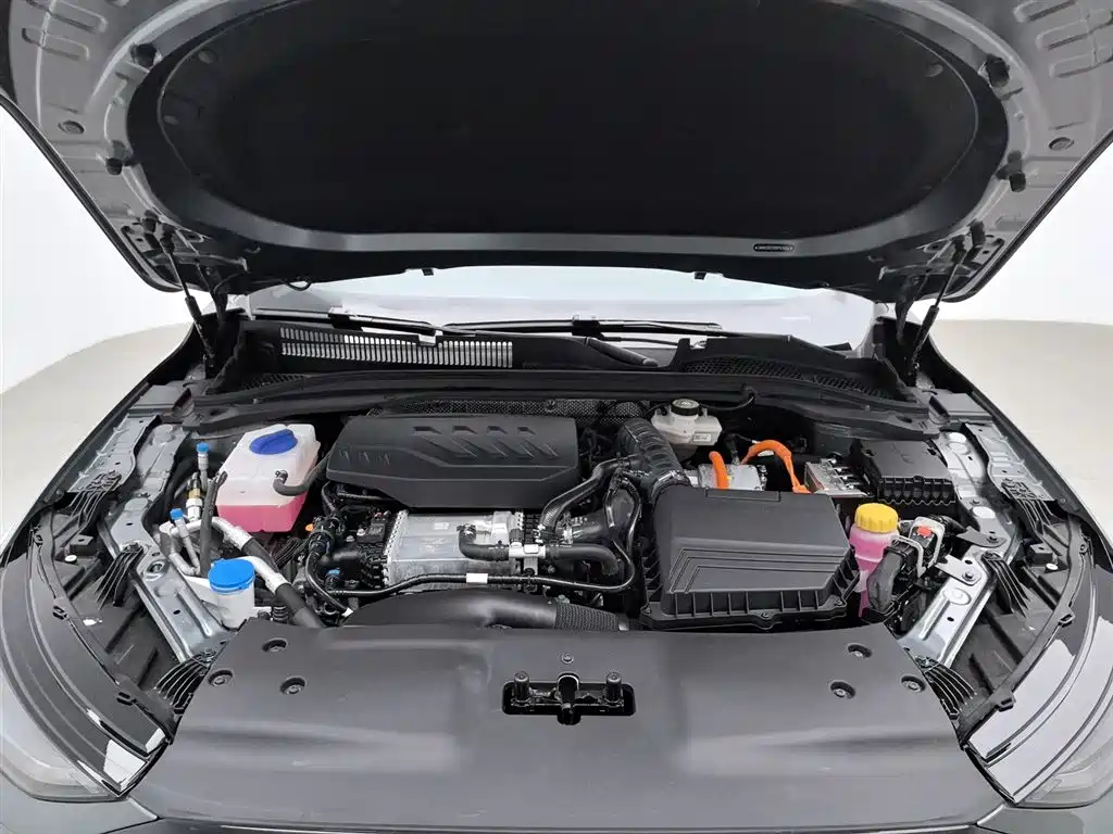 Fengyun A8 L 1.5 TGDI 145 km Luxury