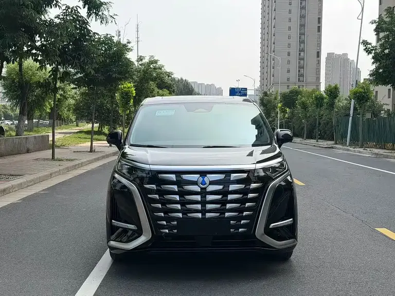 Denza D9 DM-i 970 4 WD Flagship