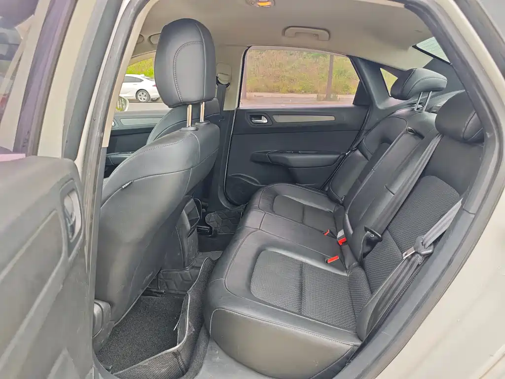 C4 Sega Joy Heart 1.6 L Auto Luxury