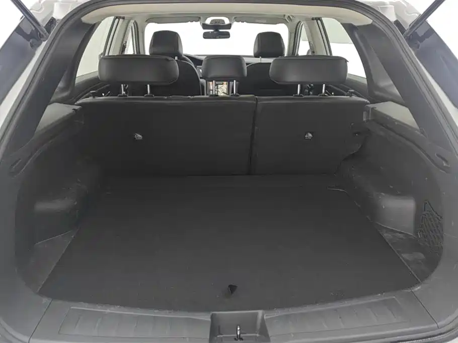 Venucia Star 260 T Star Enjoyment Success Pro