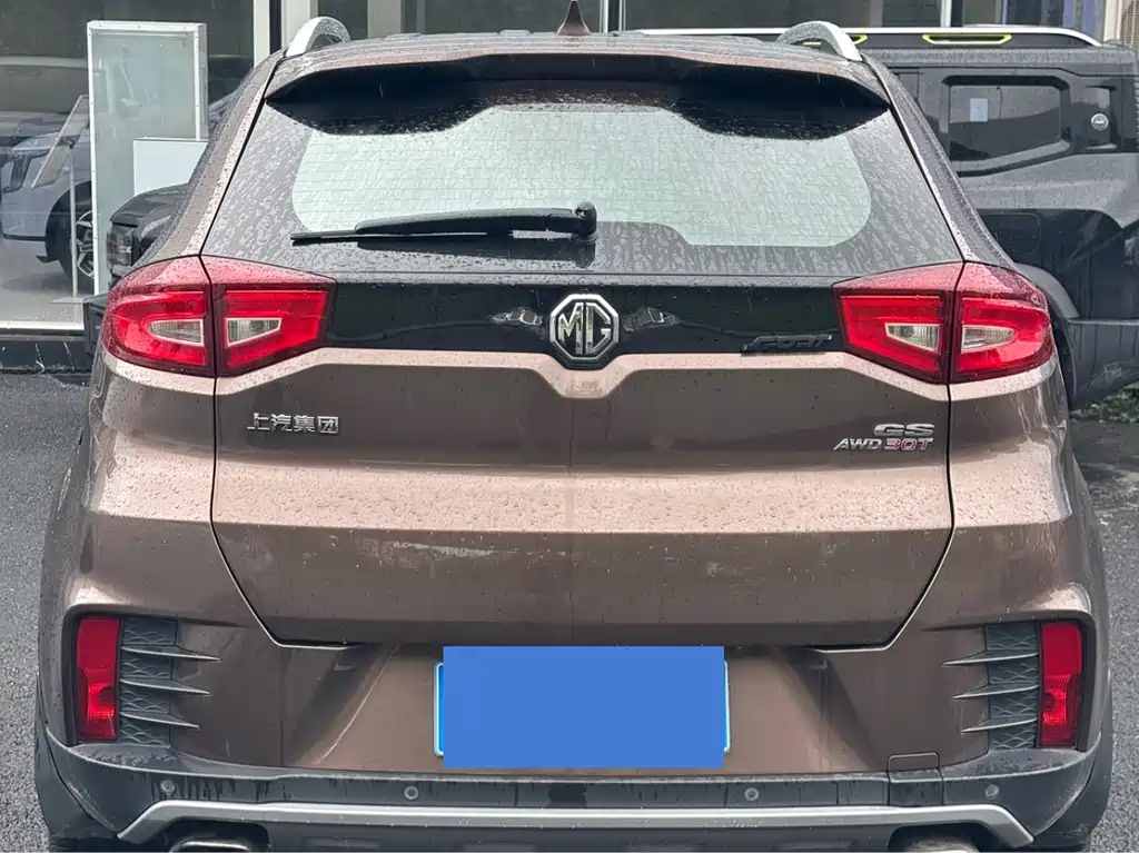 Ruiteng 30 T Auto 4 WD Flagship