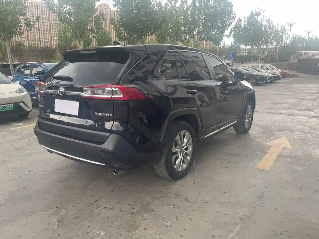 Wildlander 2.0 L CVT 2 WD Luxury