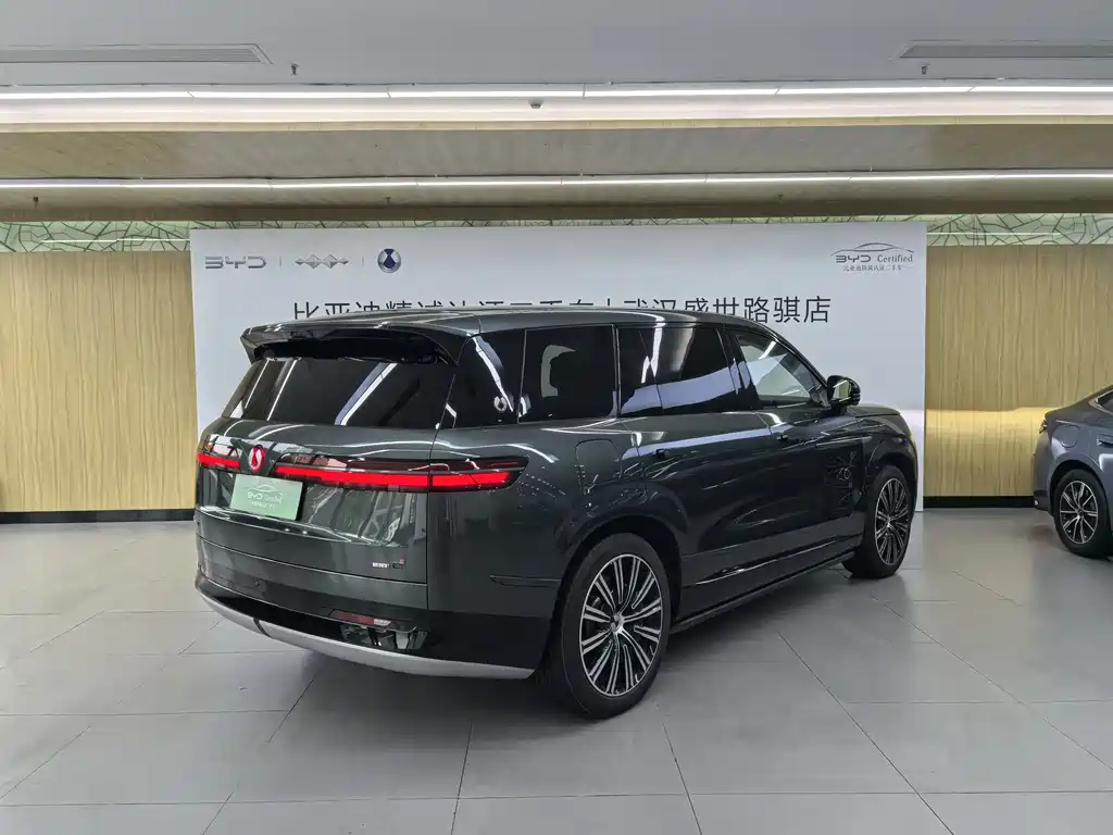 Denza N9 Flagship