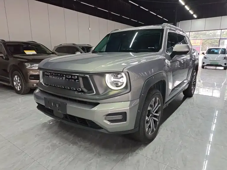 Haval Dargo PLUS 2.0 T 2 WD Trend Wild Plus