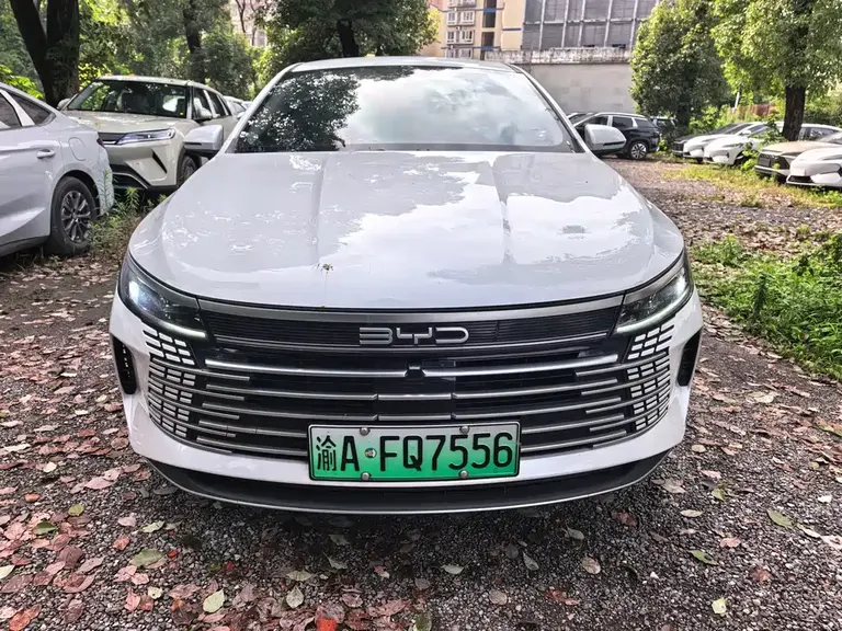 BYD Destroyer 05 Champion DM-i 55 KM Luxury