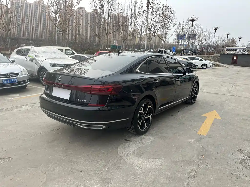 Passat 330 TSI Starry Sky Luxury
