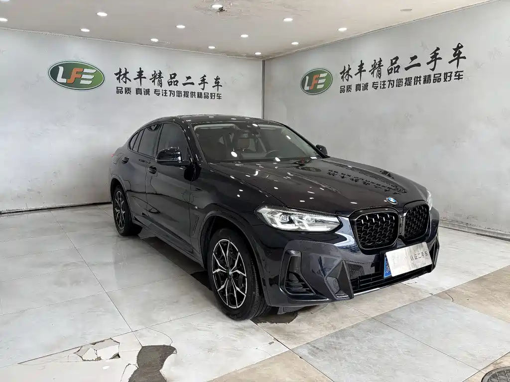 BMW X4 xDrive 25 i M Sport Package