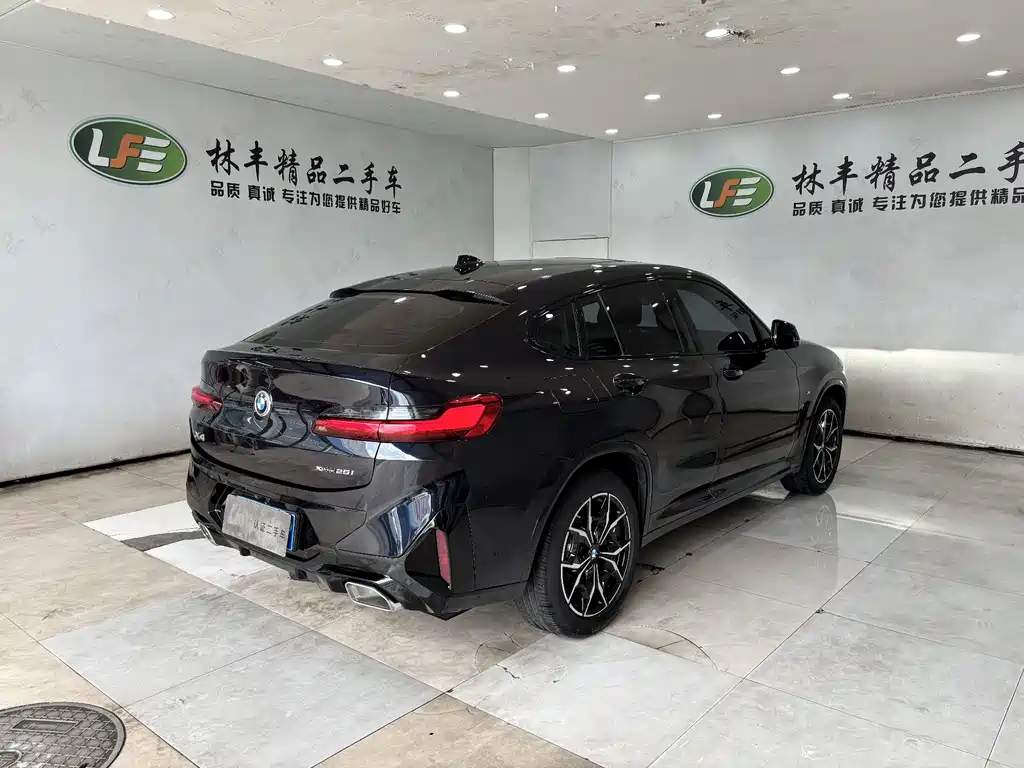 BMW X4 xDrive 25 i M Sport Package