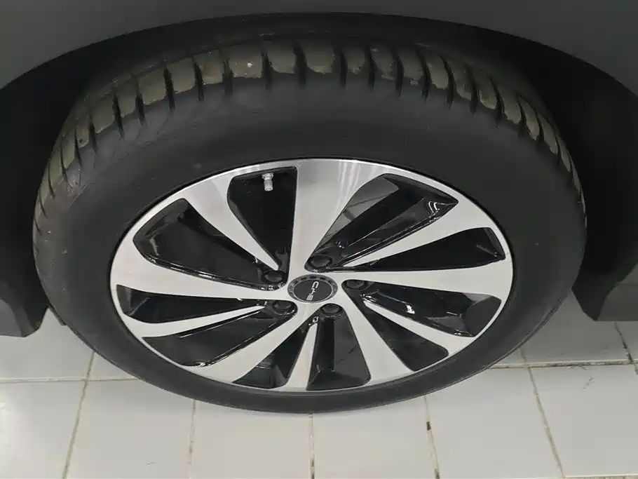 Song PLUS NEV Champion DM-i 110 KM Flagship PLUS