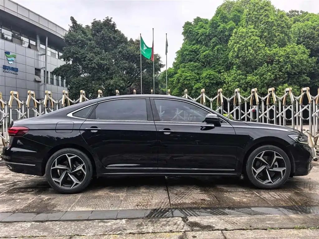 Passat 330 TSI Starry Sky Elite