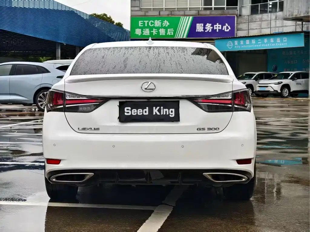 Lexus GS 300 F SPORT