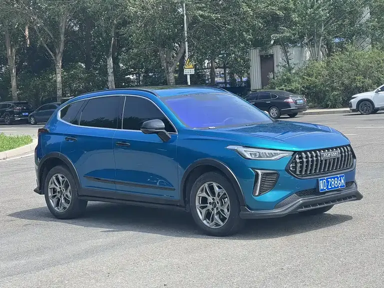 Haval Chitu Power Enjoyment 1.5 T Bronze Rabbit