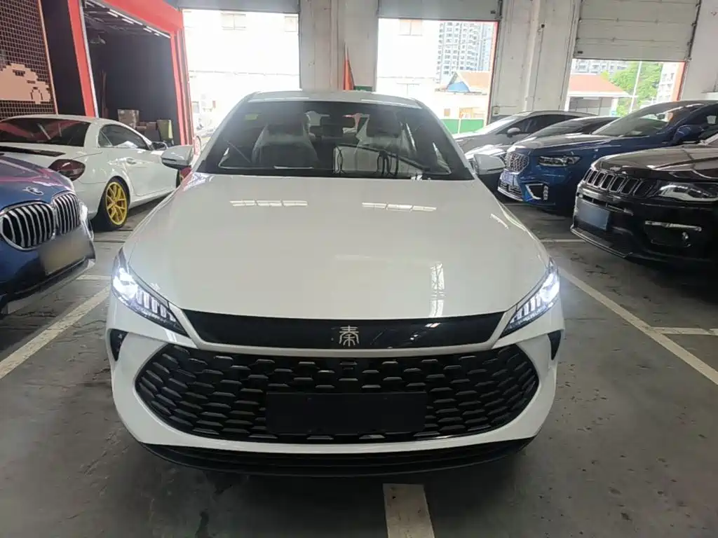 Qin PLUS DM-i Smart Drive 128 KM Progressive