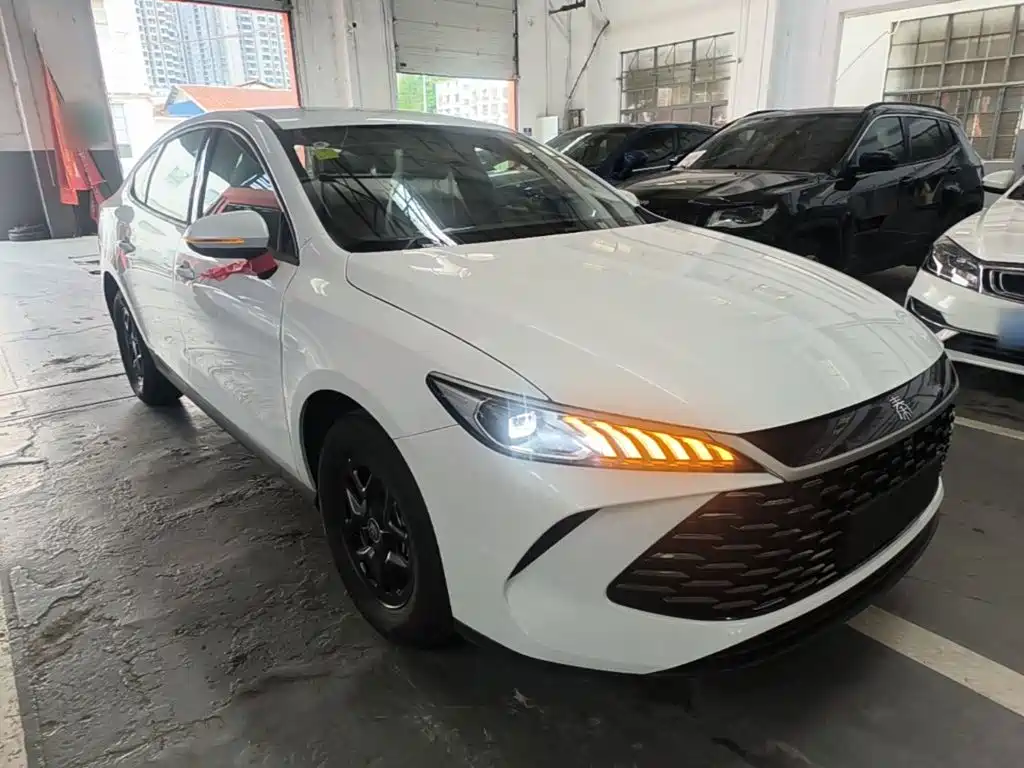 Qin PLUS DM-i Smart Drive 128 KM Progressive