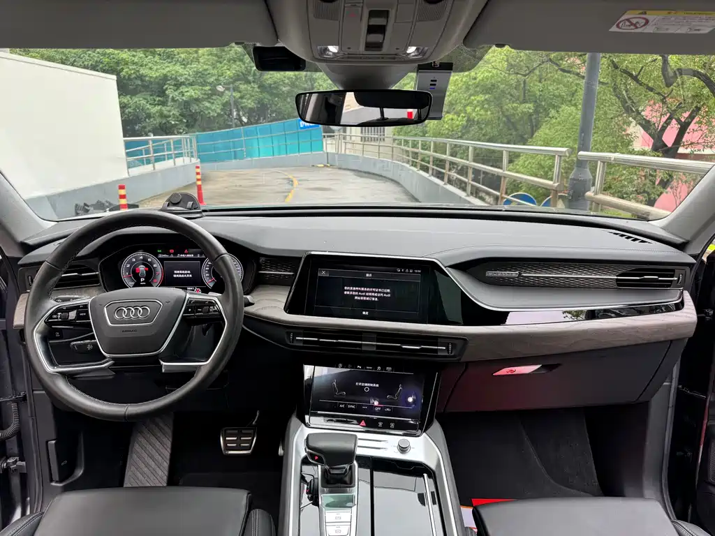 Audi Q6 奥迪Q6 2023款 40 TFSI quattro 观云型 Light 羽林套装