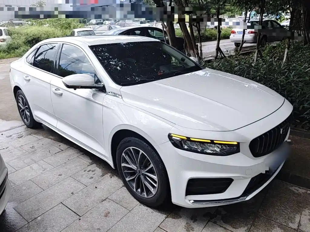 Xingrui 2.0 TD Luxury