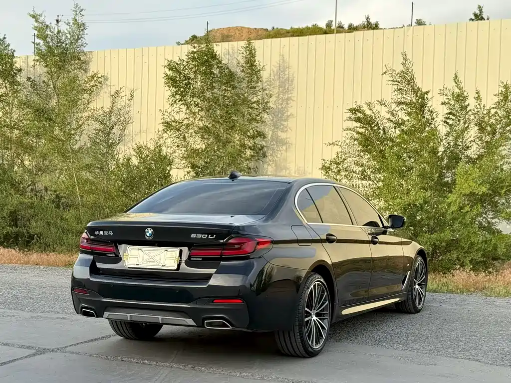 BMW 5 Series 530 Li Leading M Sport Package