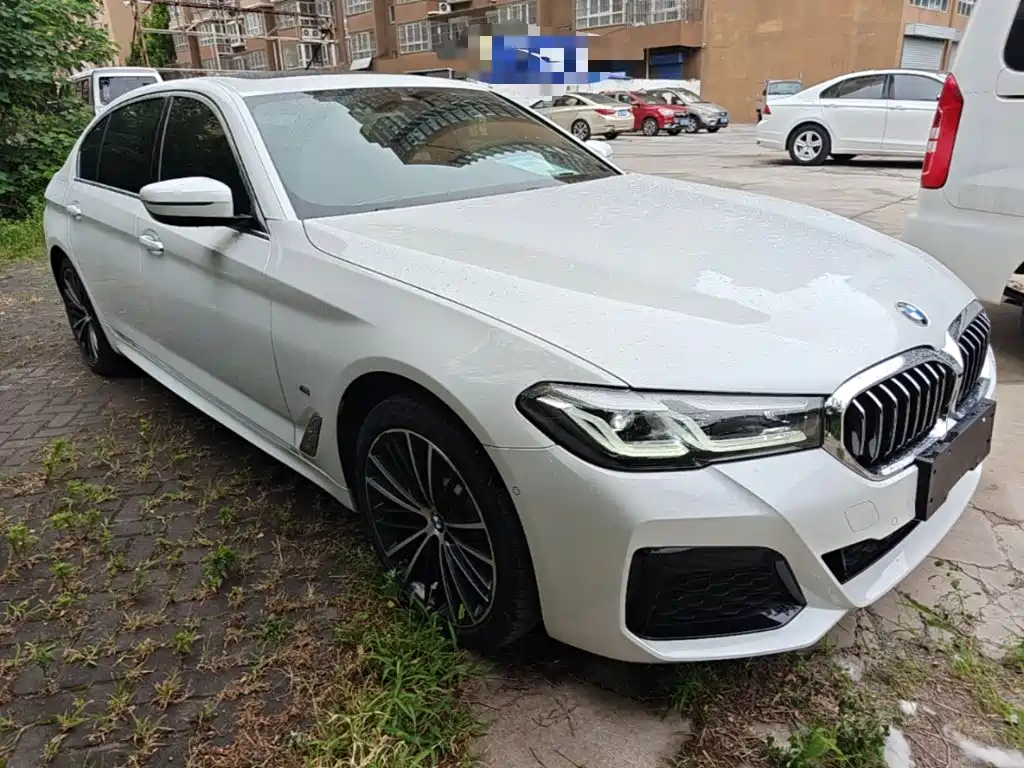 BMW 5 Series 530 Li Leading M Sport Package