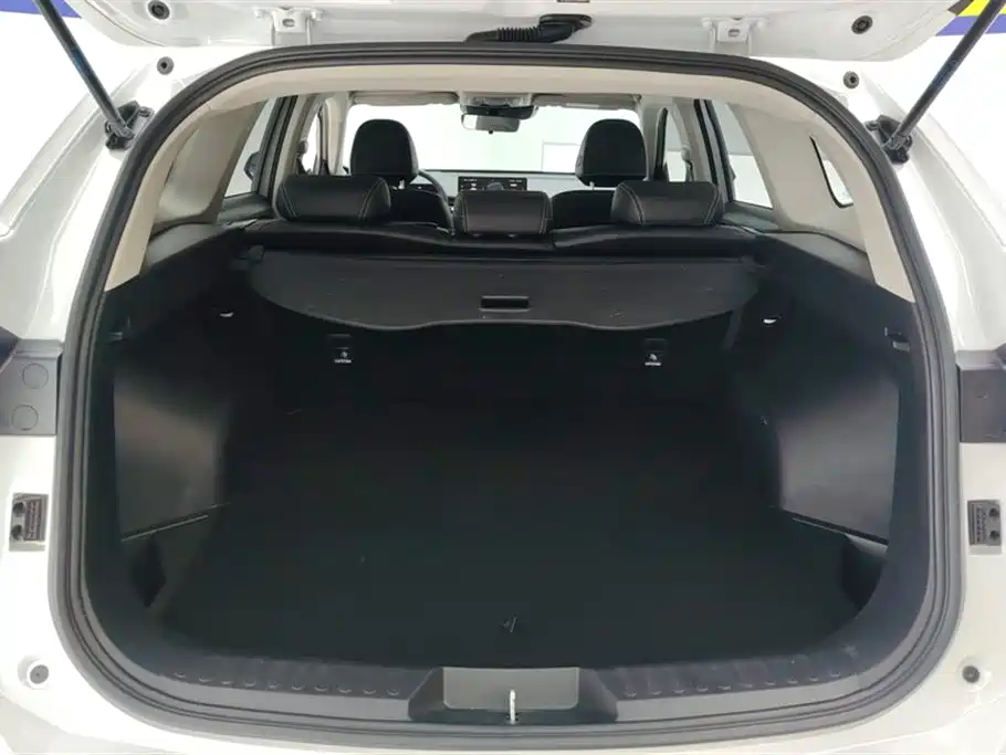 Haval H6 3 rd Gen 2.0 T Auto 2 WD Max