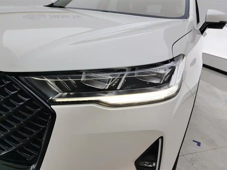 Haval H6 3 rd Gen 2.0 T Auto 2 WD Max