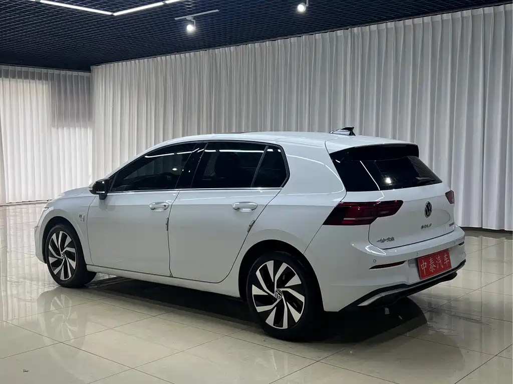 Golf 高尔夫 2025款 改款 300 TSI Pro